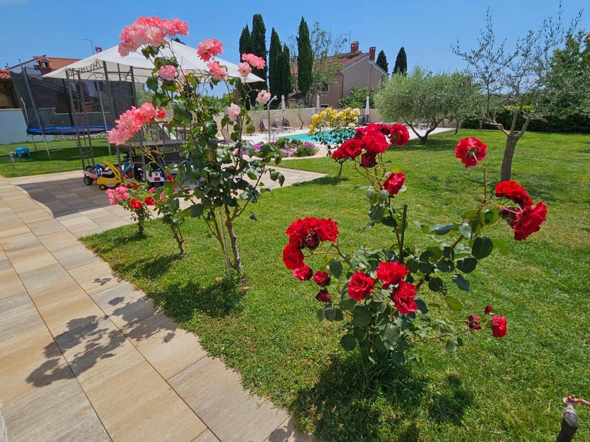 Apartmani Grzinic Rovinj Dış mekan fotoğraf